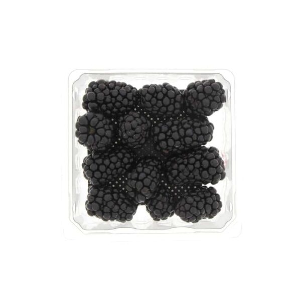 Fresh Black Berry Approx 170g توت أسود طازج حوالي 170 جم