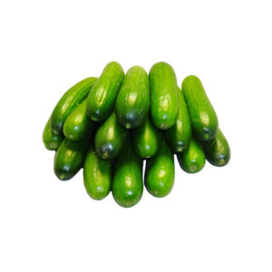 Fresh Cucumber Premium Qatar 1Kg خيار طازج بريميوم قطر 1 كجم