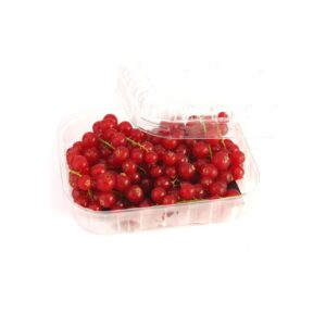 Fresh Red Currant 125g كشمش أحمر طازج 125 جم