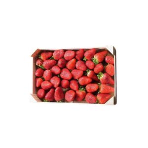 Fresh Strawberry Pack 1Kg عبوة فراولة طازجة 1 كجم