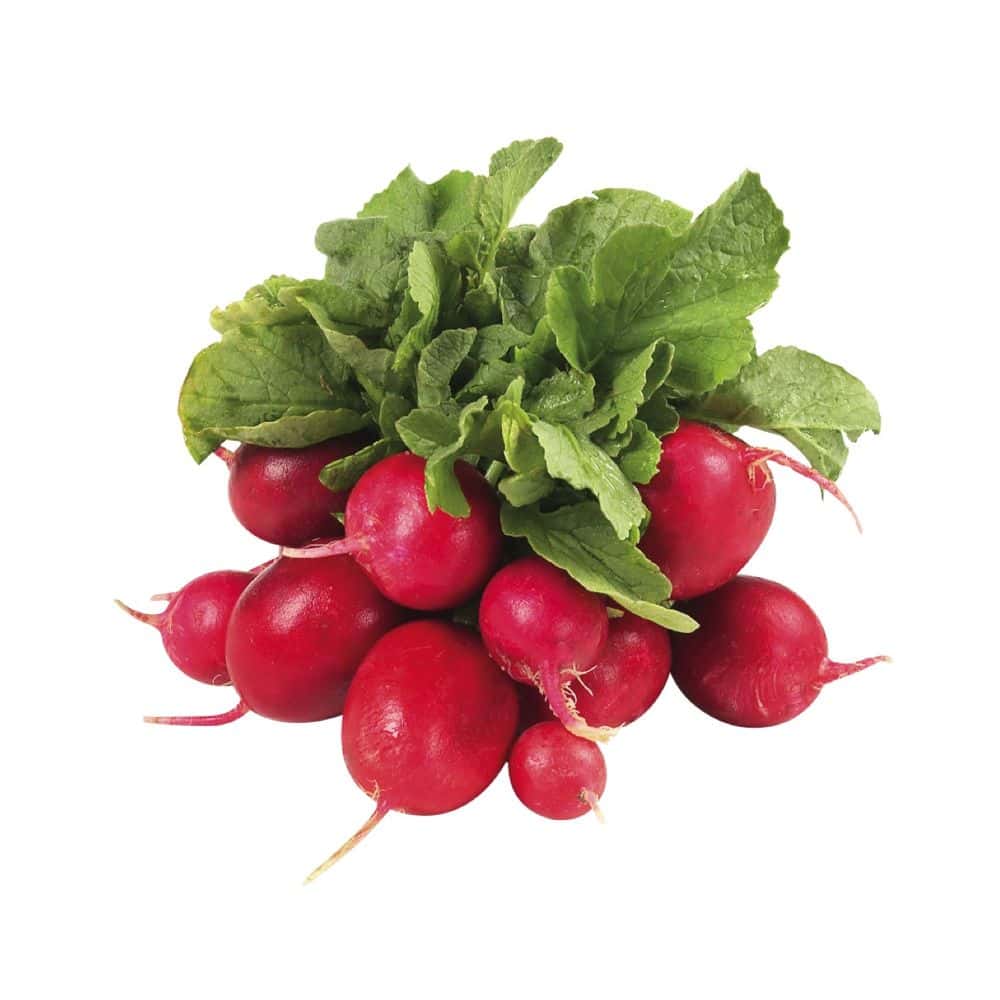 Lebanese Radish Red Packet