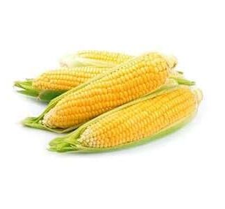 Corn Yellow 1Kg