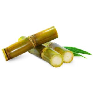 Fresh Sugarcane Egypt 1Kg