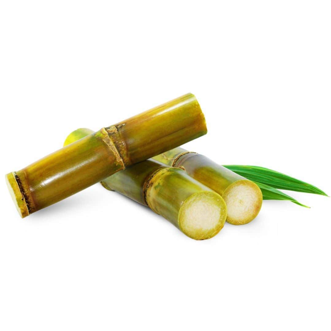 Fresh Sugarcane Egypt 1Kg
