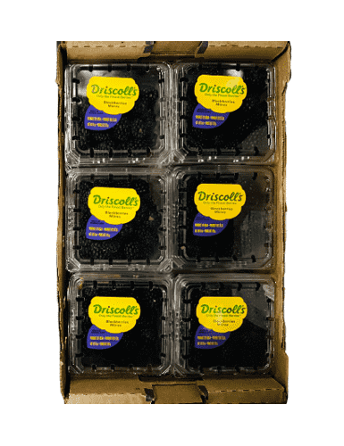 Black Berry Box Approx 170g X 12 Pcs