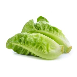 Lettuce Romaine Approx 1Kg