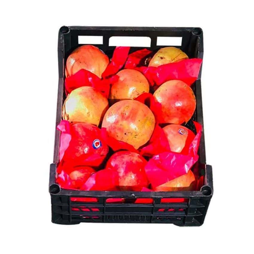 Egyptian Pomegranate Medium 1 Box
