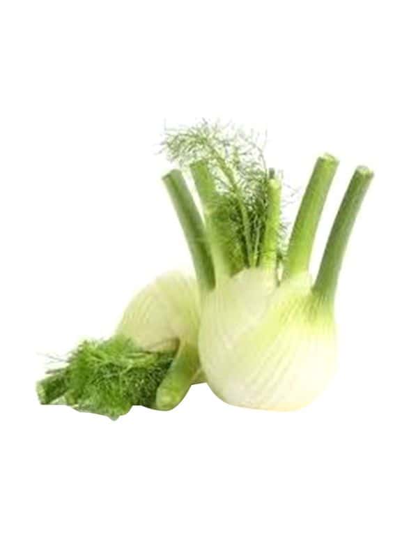 Holland Fennel Approx 1Kg