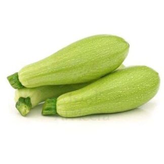 كوسا قطرية عبوة لكل كجم