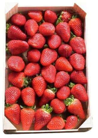 Bustan Fresh Strawberry Pack 1Kg