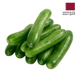 خيار قطري فاخر 1 كجم