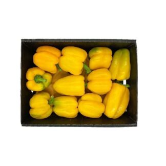 فلفل حلو أصفر صندوق تقريبًا 3.5 كجم