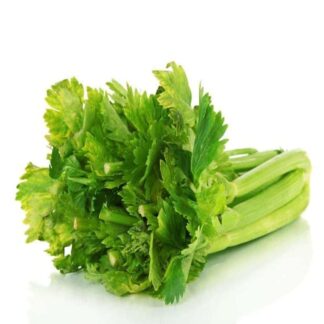 Celery Approx 1Kg