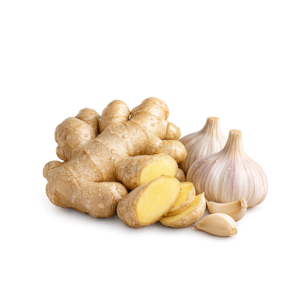 Ginger and Garlics