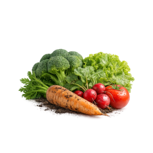 Organic Vegetables